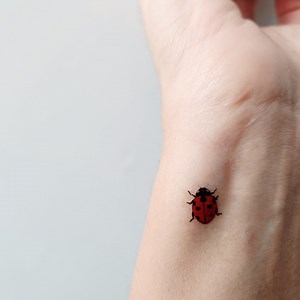 Vintage Ladybug Temporary Tattoos (set of 6) - Etsy