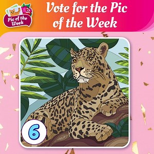 105K views · 9.7K reactions | Hey, Happy Colorfans!  Let’s choose THE BEST PIC OF THE WEEK and enjoy it in new colors! Which one is your favorite? Let us know in the comments below | Happy Color - Color by Number | Facebook