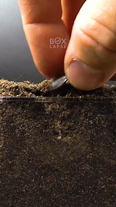 2.7M views · 54K reactions | Bean https://boxlapse.info | Boxlapse | Facebook