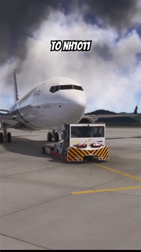 LUXURY VIP JET ISLAND HOP! Boeing 737-8 BBJ Ishigaki to Naha! [MSFS 2024]