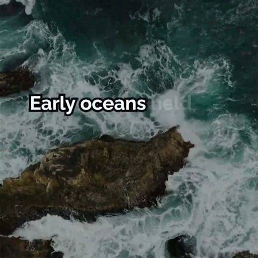 HOW LIFE STARTED #shorts