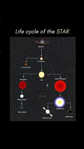 Life Cycle of a Star ⭐️ #star #lifecycle #starformation