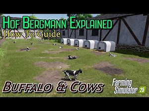 Hof Bergmann Explained | Buffalo and Cows | Farming Simulator 25