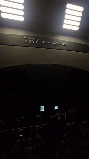 Check the electrical system of the B787 aircraft #flight #aviation