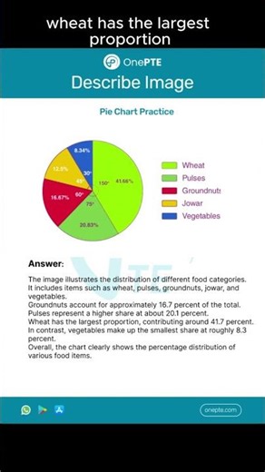 PTE Describe Image | Pie Chart Sample Answer with Template | Score 79+