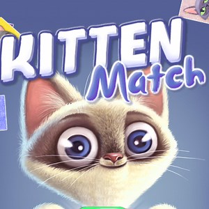Kitten Match: Play Kitten Match online for free now.