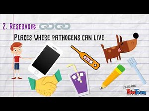 Chain of Infection 10/05/17