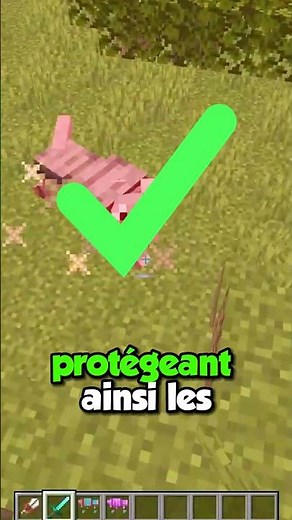 ENCHANTING WOLF ARMOR on #minecraft in 1.21 ✨