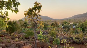 The evening view of farm7 | Radical Farmer - Organic Farm7