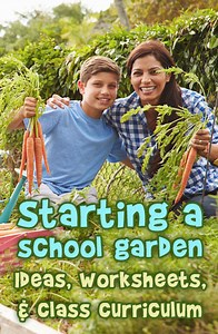 Start a Garden at Your School - Ideas, Worksheets & Curriculum | Woo! Jr. Kids Activities : Children's Publishing