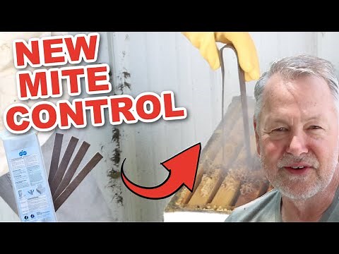 Beekeeping | VARROXSAN MITE CONTROL TREATMENT - Game Changer
