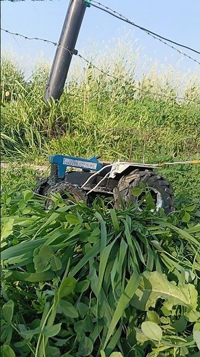 bulldozer tractor stunt video