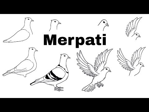 TUTORIAL MENGGAMBAR BURUNG MERPATI