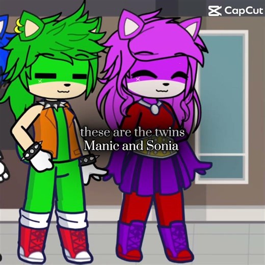 Just me telling Sonic characters in a mut shell 😝 #sonicthehedgehog