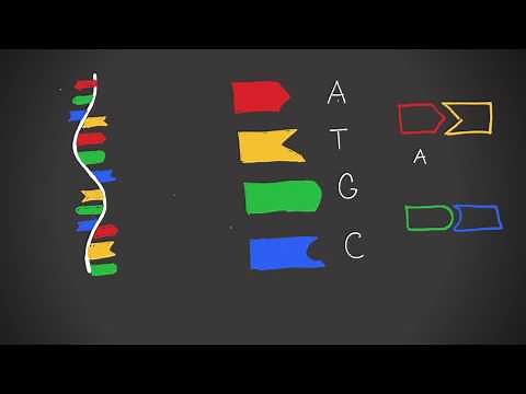 What is DNA Origami?