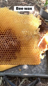 Old bee wax | WeBee