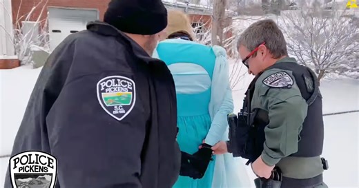 'Let it go:' Cops arrest Elsa during major East Coast winter storm