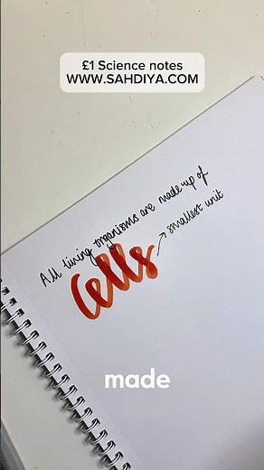 Today’s science lesson of the day: animal cells for year 7-8 and applicable to y9-11