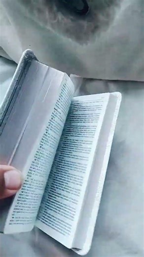 My Pocket sized KJV bible