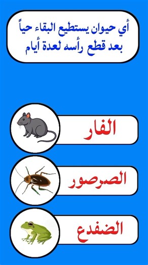 اسئلة عامة للاذكياء 🧠 #اسئلة