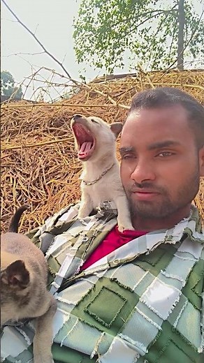 Street 🐕 puppy barking sound #01viral​#bhaiya​
