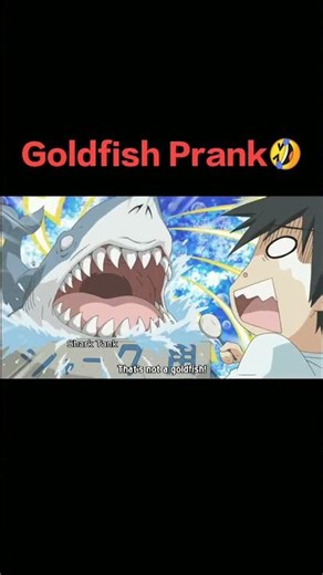 Poor Nagasumi 😭/My Bride is a Mermaid #anime #animeshorts #shorts