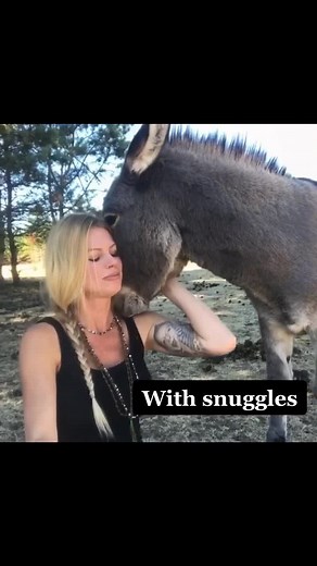 #infantlossawarenessmonth #bereaved #lossmom #griefandloss #bereavedmother #childloss #bereavedparent #donkey #saytheirnames #healing #infantloss