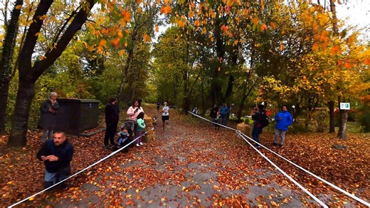 Ville de Jeumont on Reels