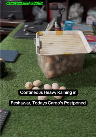 Heavy Rains Disrupt Cargo Operations in Peshawar
