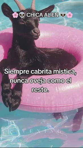 Cuentas recomendadas