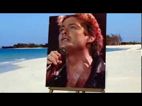 David Hasselhoff - "Flying On The Wings Of Tenderness" live 1989