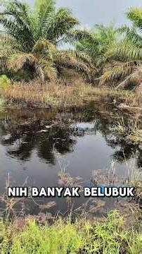 Coordinate Seekers #environmentalconsultant #sustainablewithcedar #forest #peat