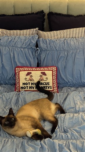 EMMA TOPP on Instagram: "@hudabeauty poppy is a huge fan"