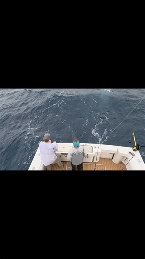 THE TRASH CAN SLAM ABOARD THE PREMIUM TIME OUT OF KEY WEST BAIT AND TACKLE...... #KEYWESTCHARTERBOAT #KEYWESTTROLLINGBOAT #KEYWESTDUSKYSHARK | FishMonster Key West