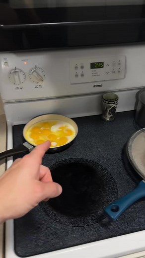 Stop greasy splatters instantly!  13" stainless steel splatter guard!Your stovetop's best friend!  | Stringlied.TP | Facebook