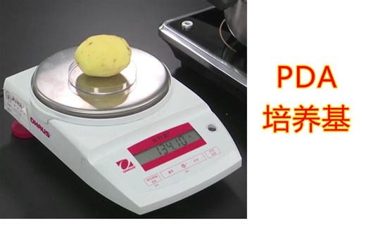 【实验】PDA培养基的配制