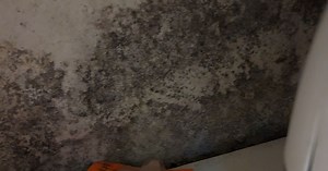Damp and mould complaints in social housing reach record high