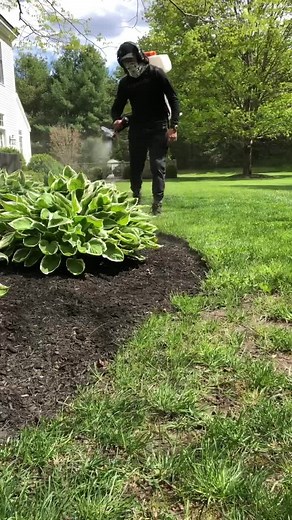 Our all-natural tick control will kill ticks on contact and will help protect your property for up to 3 weeks! 🍃💚 #MAKEYOURMOVE #SipIntoSummer