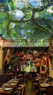 Jungle Palace groupe ephemera, paris restaurant immersif