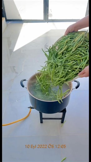 Easy Steps to Freeze Fresh Green Beans at Home