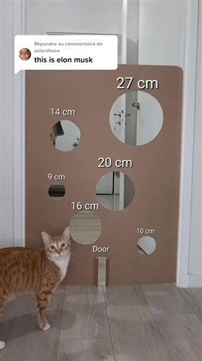 Mission Pets | Episode 2 #pets #cats #dogs #catvsdog