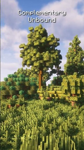 These are the best Realistic Minecraft Shaders that make the trees look real