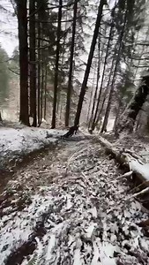 Just fun laps for @gustavwildhaber today celebrating 1. Advent … @cube.bikes @ridefoxbike @newmencomponents @schwalbetires @shimanomtb @mudhugger2 @garmincycling @100percent_bike | CUBE ActionTeam
