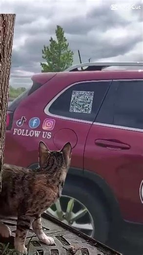 liner replacement pool installations