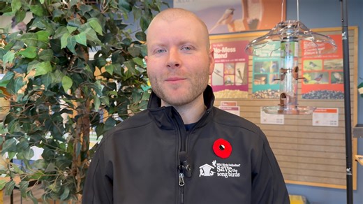 I made a brand-new video last week walking through the basics of choosing your first bird feeder. I filmed it for YouTube, but the goal is the same as always here in the store… helping you get the right setup for the birds in your yard. Every day in the shop I walk people through this decision — tube feeders, hoppers, fly-throughs, and when to add specialty feeders. I wanted to take everything I teach in person and put it into a simple, beginner-friendly guide you can watch anytime. If you’ve ev