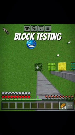 😱 Minecraft Block Testing Gone WRONG! #minecraft
