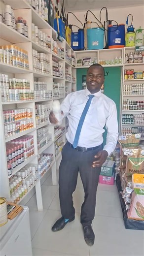 Say bye bye to fall armyworms 🪱 🐛 this coming farming season by using deen super. The active ingredients, emamectin benzoate and Imidacloprid is a no nonsense to pests as it works by interfering with the central nervous system of pests, causing paralysis and death. This pesticide is a multipurpose, as it can be applied in cabbage, rape, cotton, maize, tomatoes among other crops. We recommend the best, because farming is serious business. #maizefarming #agriculture #fypシ゚viralシ 🌧 🌽 | Paul Chi