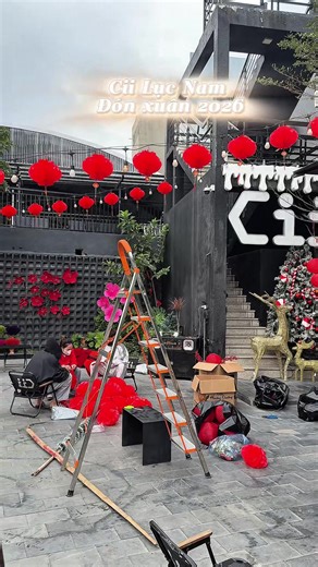 Tết dương tới với Cii Lục Nam nhé .... 🌸. #ciilucnam #trending #têt2026