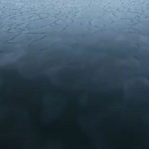 Evolution of Diet - Inuit