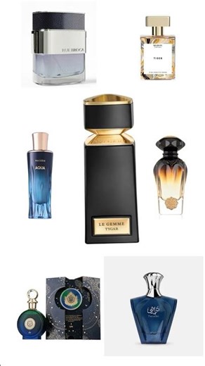 ⚔️Bvlgari Tygar Clone War: Indian & Middle Eastern Houses🌴 #perfume #perfumereview #clonewars